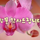 울산 어물동 마애약사여래삼존상 이미지