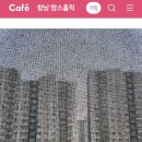 향남맘스홀릭