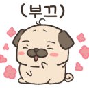 찡보네징어 이미지