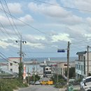 형제수산 | 경주감포횟집 형제수산 후기 | 감포맛집 인정!