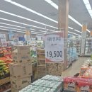 진로쇼핑 | 탑마트 기장점에서 알뜰하게 장보기! 일요일 쇼핑 후기