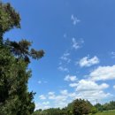 익산상떼힐cc 클럽하우스 | 〔골프장추천〕익산골프장추천 상떼힐CC 퍼블릭 6홀 초보골퍼 연습하기 좋아요!!