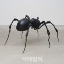 이수미 개인전 이미지