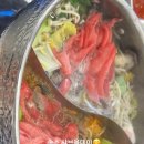속초 샤브올데이의 모든 것(신규 오픈!) : 속초 샤브샤브 맛집