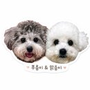 홍 - 남구 문현금융로 40 | 홍