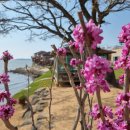 해비치나루 이미지