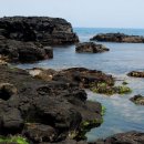 비석태양광발전소 이미지