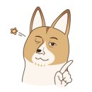 마니에젤라또 이미지