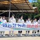 축산물공판장 이미지