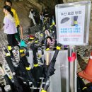 장다리 세탁 | 단양 고수동굴 꼬마탐험가 역할놀이하기 5살, 8살 아이가볼만한 곳 소요시간