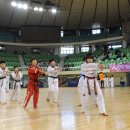화랑 태권도 체육관 Daum카페