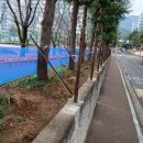 범일중학교 이미지