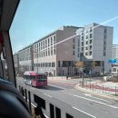 (주)신세계911 | 2025 12월에 적는 11월 일상(성심당 알밤롤, 센텀스파랜드, 주토피아2 후기)