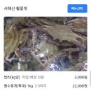 노량진수산시장 대게,꽃게 시세 정보와 대하 포장 예약하기