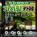 표선민속촌 주차장 | 제주 표선 가시림 카페 후기｜수목원과 함께 즐기는 힐링 명소 수국, 동백꽃 맛집