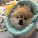 광산이비인후과의원 | 광주 광산구 예방접종 전문 병원 BEST 추천 6곳