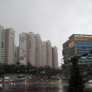 수원-1375 이미지