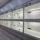 품 동물병원 이미지