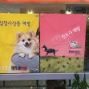 같은마음 동물병원 이미지