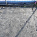 조정농장 이미지