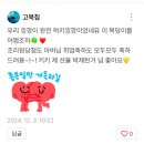 투썸국군수도 | 부지런히 놀러다니는 30주~31주🚗