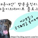 알뜨르식당 이미지