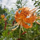 김해대학교 생활관 이미지