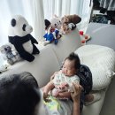 도우미 | [D+57] 산후도우미 후기 내돈내산 프리미엄 3주 연장 요청사항 팁