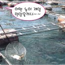 어장관리하는남자 이미지