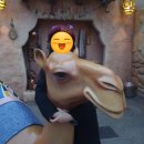 미키세탁소 | [여행] 251231-260104 도쿄여행 3일차