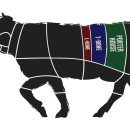 bone steak(본 스테이크)