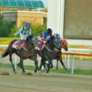 환희축산 이미지