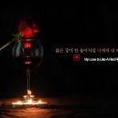 My Love Is Like A Red Red Rose 나의 사랑은 붉은 장미와 같아 이미지