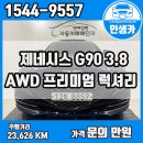 황금카모터스 이미지