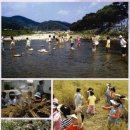 고읍농장 이미지