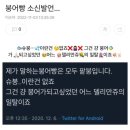 황금잉어빵 이미지