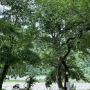 구만계곡야영장 이미지