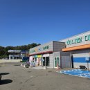 농업협동조합 A동(하나로마트 자갈치점) | 경북 고령 THE360 캠핑장 A1 사이트 애견동반 후기