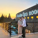 파라다이스 도고 4살 6살 아이랑 임산부 준비물 할인