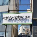 비둘기는멍청해보여 이미지