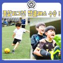 푸르른 태권도장 이미지