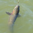 행암낚시터 이미지