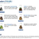 태양메디 이미지