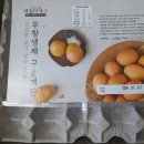 데일리푸드 이미지