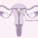 이해와공감산부인과의원 이미지