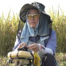 구례-07호 이미지