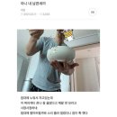 미식본좌 | 개백수의 오마카세 리뷰