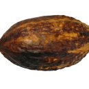 좋은휘트니스센터 이미지