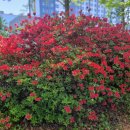 올레길 도심형 2코스 이미지