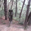 초례산 숲속 힐링로드 이미지